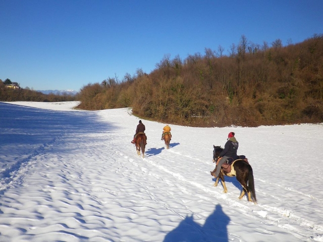  En la nieve blanca
